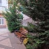 Два Академика 5-6/14