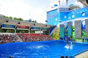 NEMO Hotel Resort & SPA 58