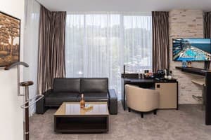 Спа-отель NEMO Hotel Resort & SPA. Люкс двухместный вид на город +1 2