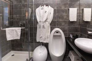 Спа-отель NEMO Hotel Resort & SPA. Люкс двухместный вид на город +1 6