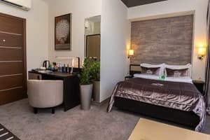 Спа-отель NEMO Hotel Resort & SPA. Стандарт одноместный вид на парк 2