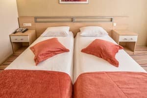 Палладиум 5