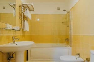 Premier Geneva Hotel 8