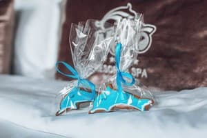 Resort & Spa Hotel NEMO 44