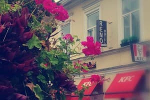 на Дерибасовской 7